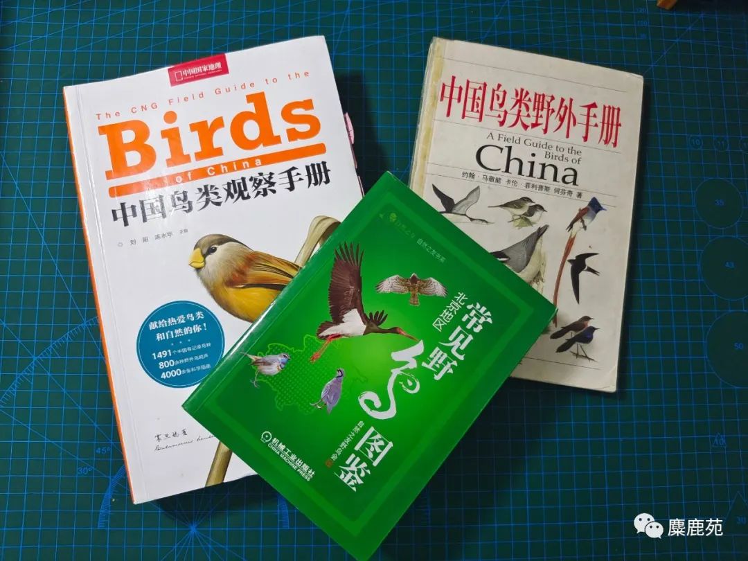 Go Birding 观鸟记录本与图鉴对照学习场景
