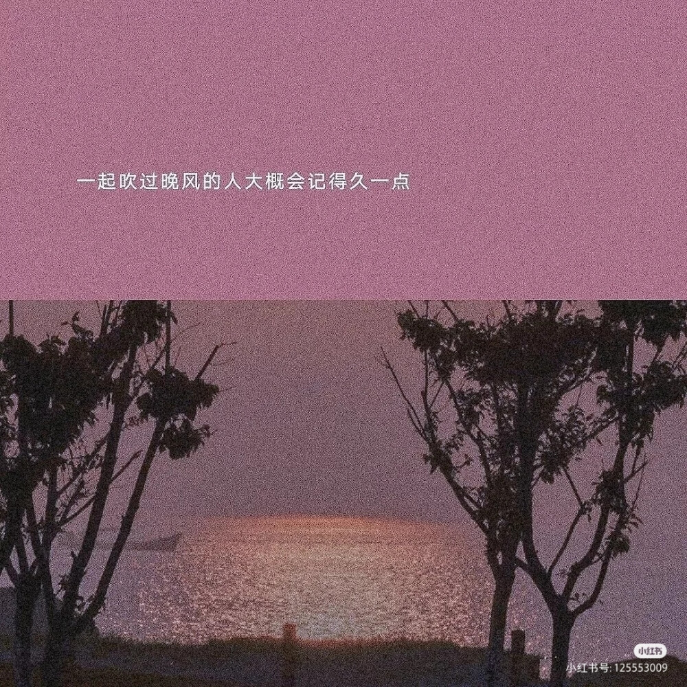 月芽初现夜色温柔治愈系唯美文案合集配图