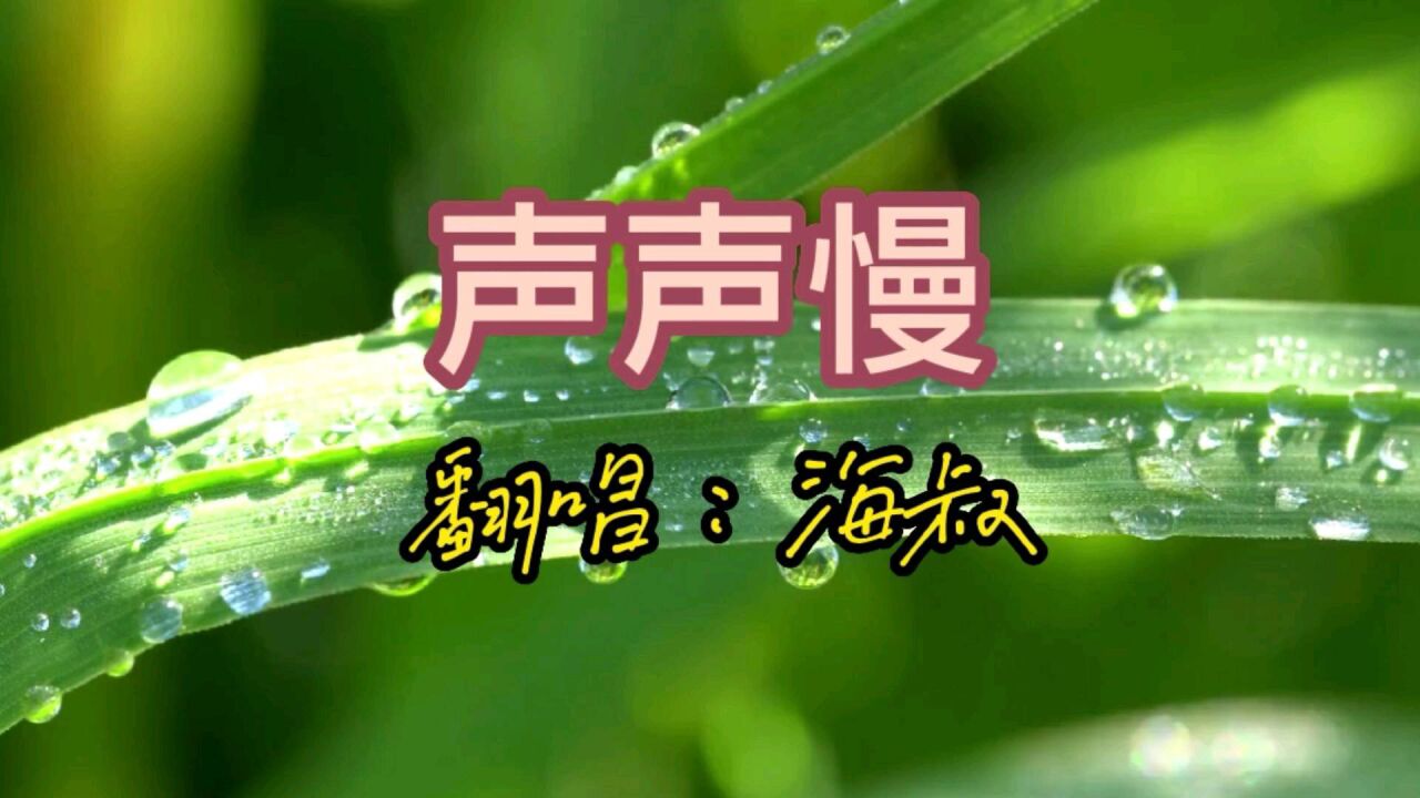 声声慢歌曲原唱完整版 手机在线播放界面 音乐平台