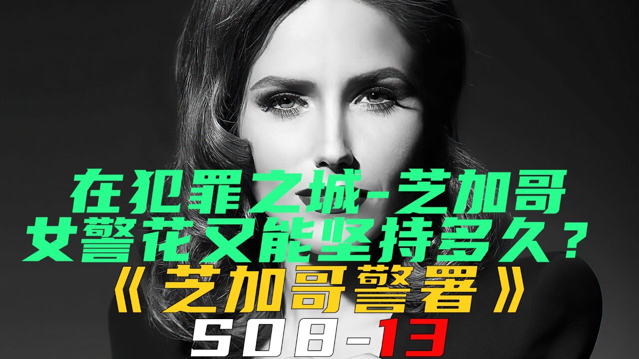 女警出勤Police Girls on the Case! 女警出勤真实案件全记录内容整理配图