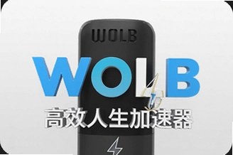 WOLB��Ч������������Ч�ʷ���������