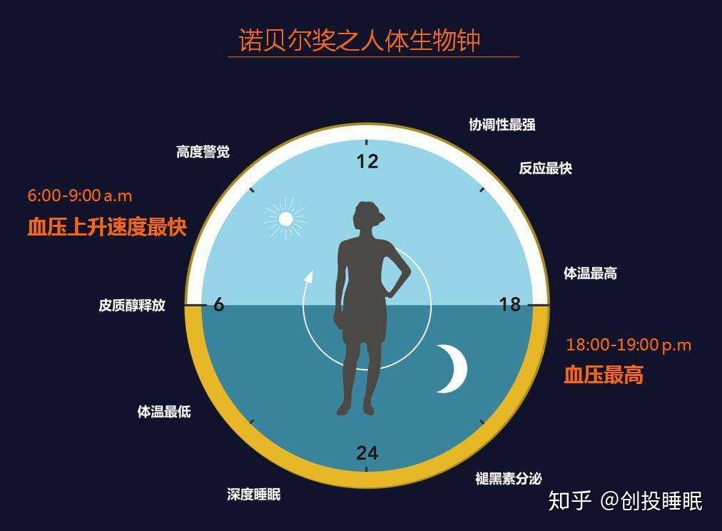 黑白颠倒 生物钟作息调整实拍图