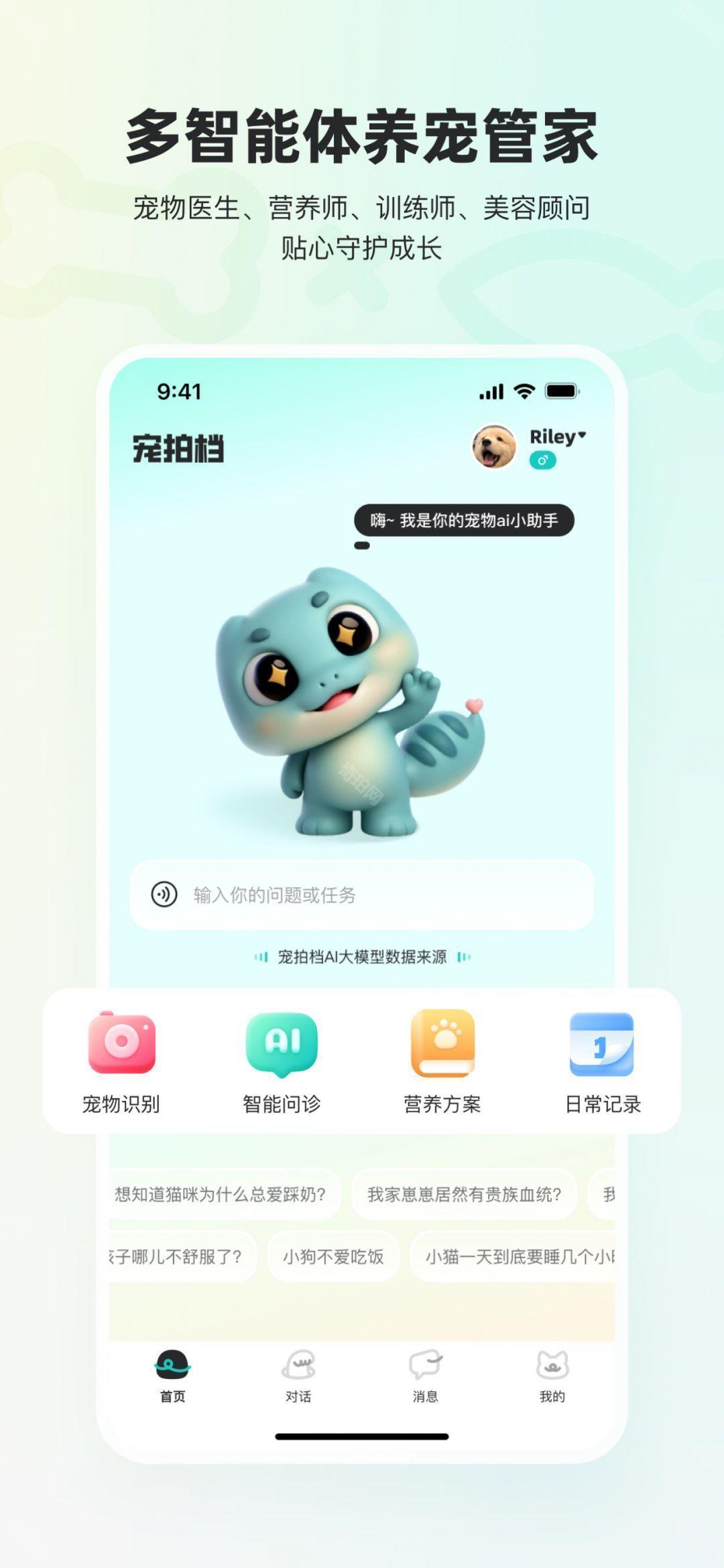 宠拍档 安卓版 功能界面