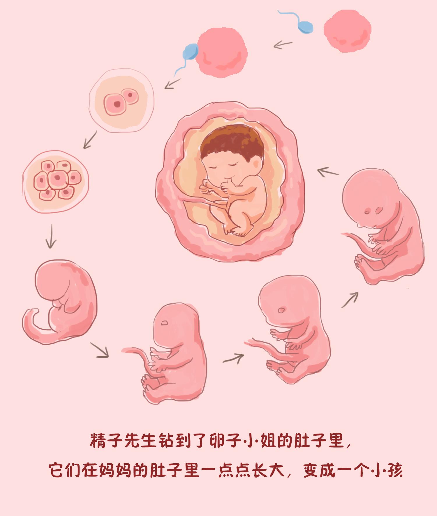 荒野冒险模拟 生存挑战 真实体验 游戏画面 落地开局