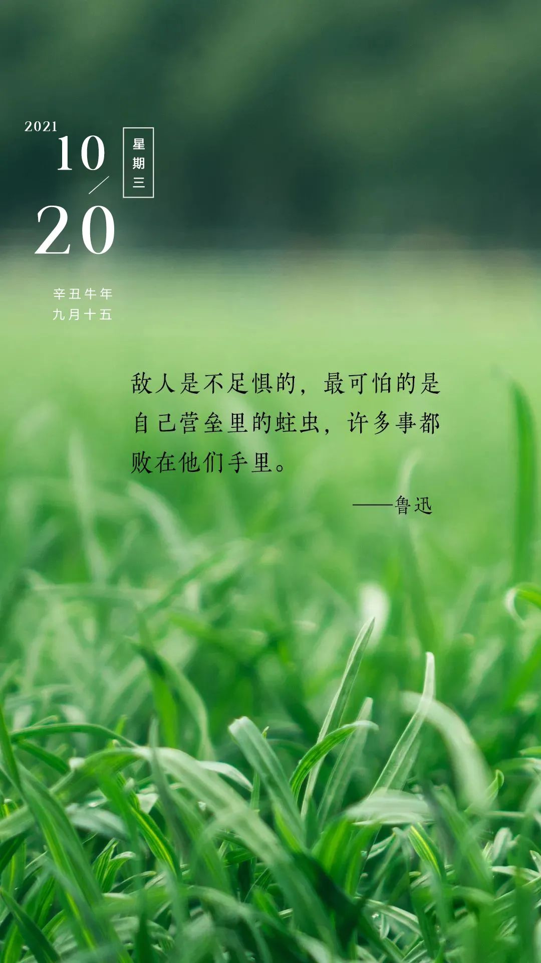 私存心动说说文案 日常心动短句配图