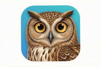 èͷӥ�ļ�app��ô�ò��ܸ�Ч�����ֻ��ļ�