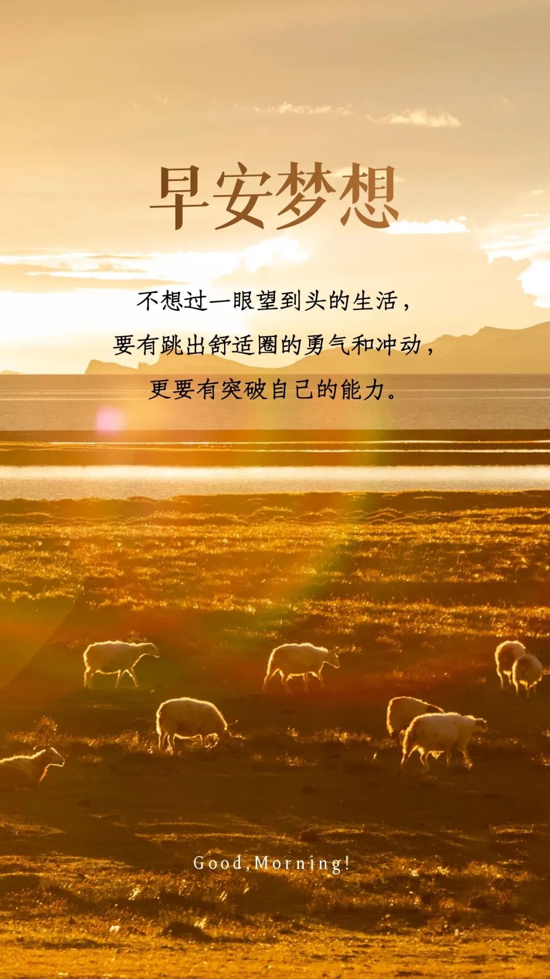 斗志昂羊拼搏状态短句标题发圈文案配图