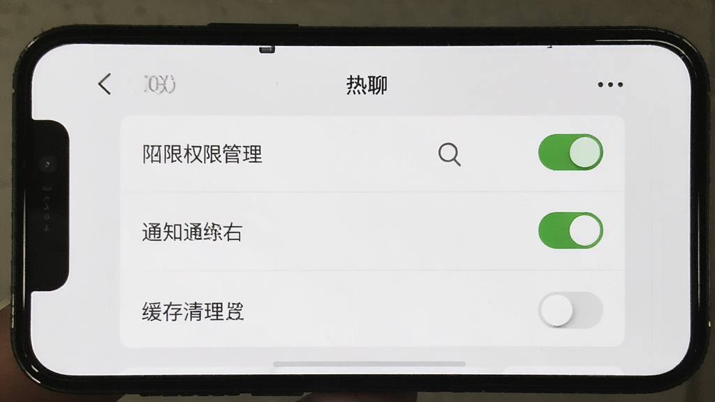 手机屏幕显示陌夜热聊设置页面,包含权限管理、通知开关与缓存清理选项,界面布局清晰,风格简洁实用,细节包含开关按钮与列表项,画质清晰,干净无多余元素