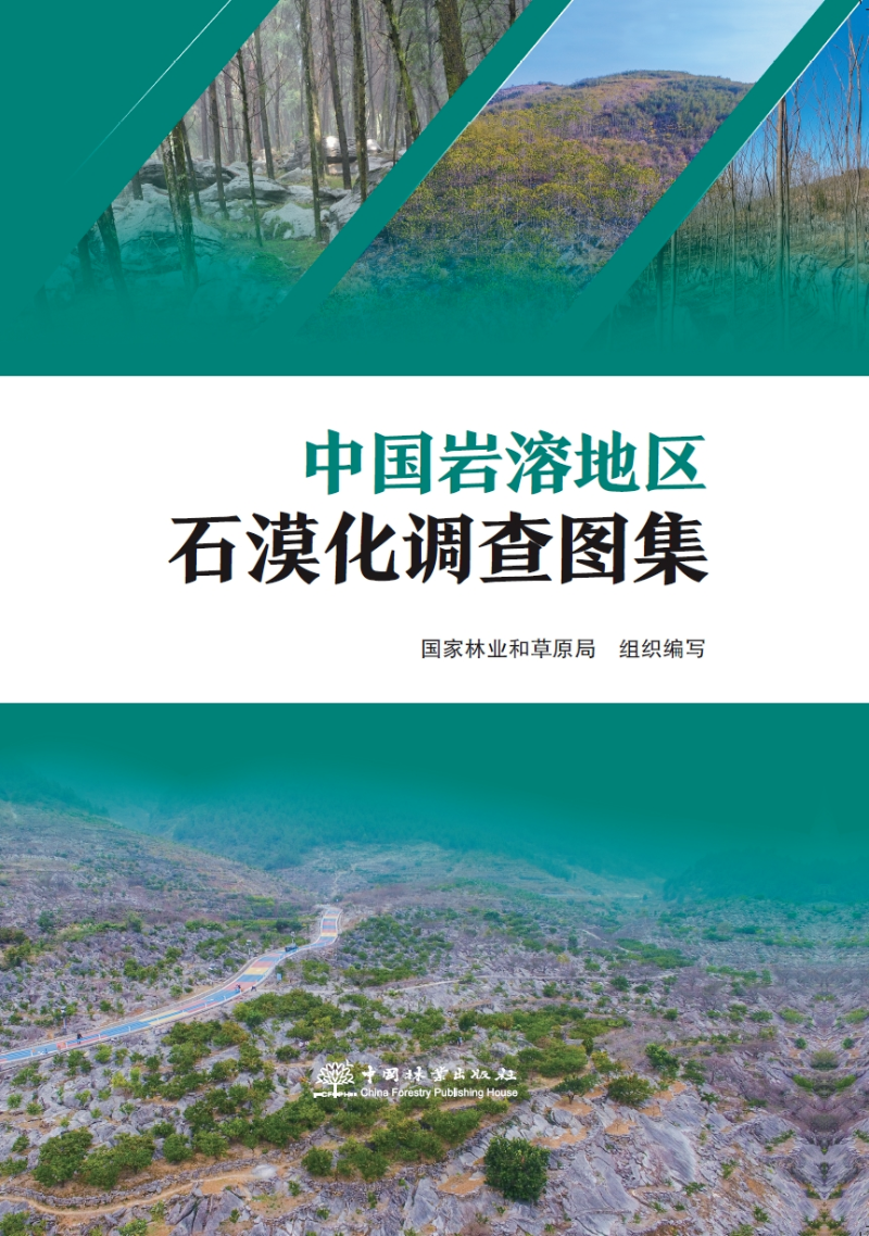 银锐健身安卓版安装包