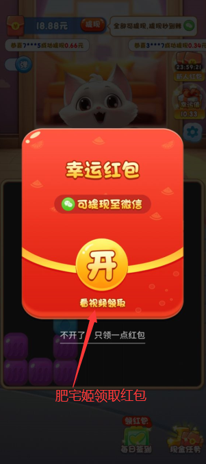 欢乐招财猫红包版最新版安装界面与版本号核对