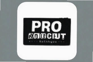 Pro knockoutרҵ��ͼ����һ����׼��ͼ