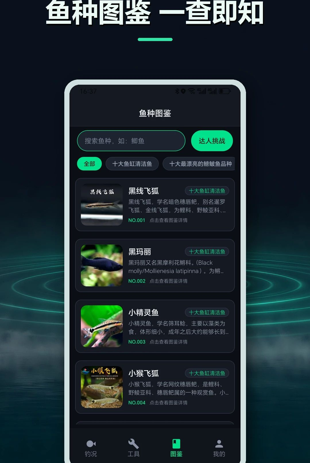 ��ʷ������ѯ����ָ��1.2 ������������