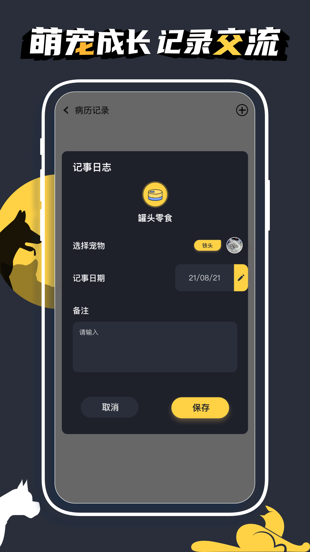 萌宠片场 安卓版 短视频界面