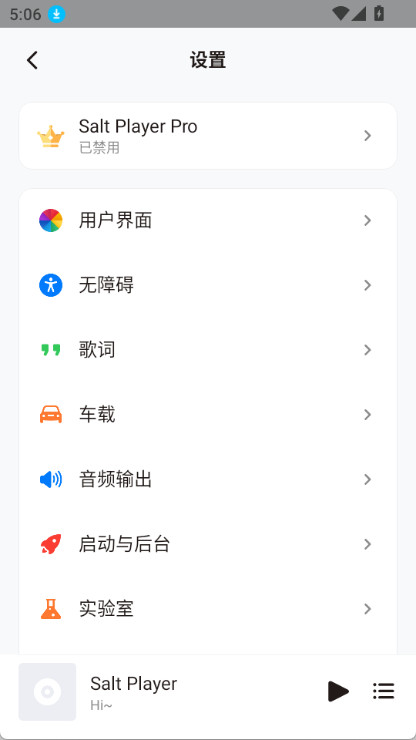 Salt About 安卓版 应用界面