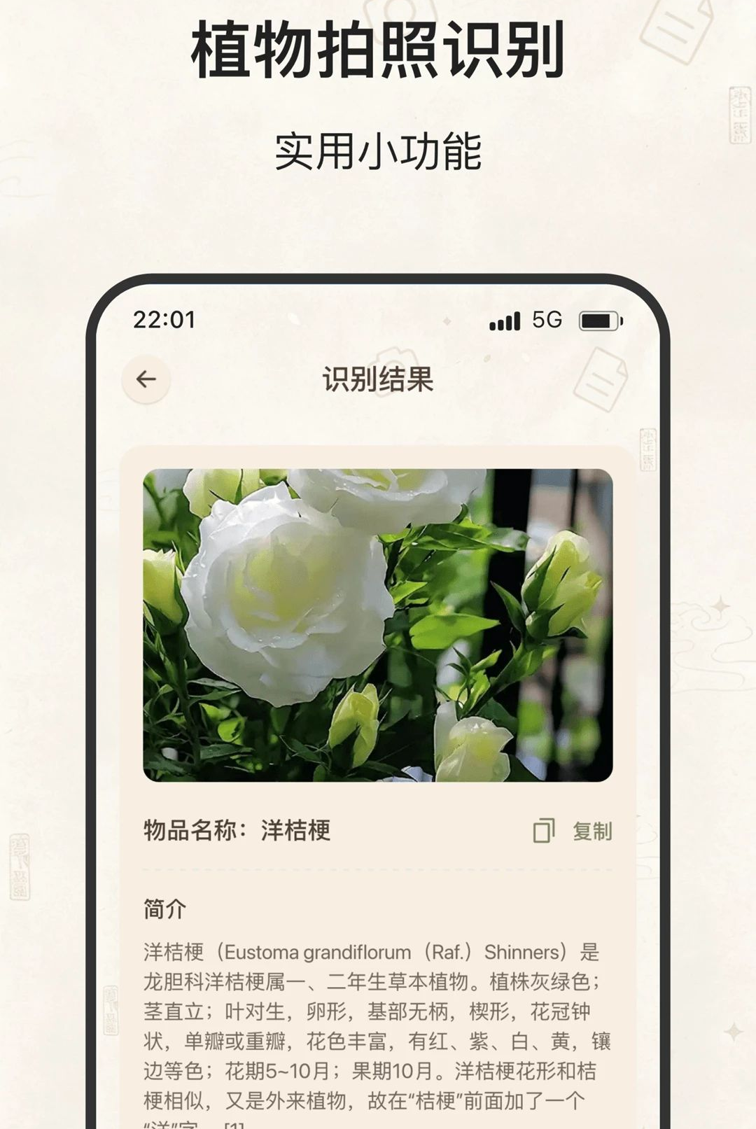 ��ߢ��ɨ2.0.0 �ĵ�ɨ�蹤��