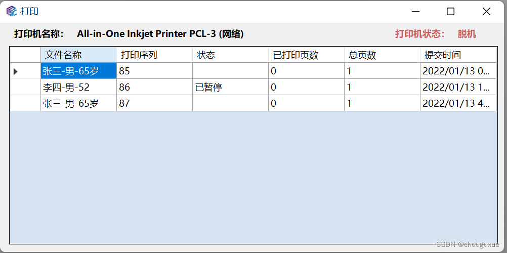 Cam PRINT 打印任务队列与参数调节界面