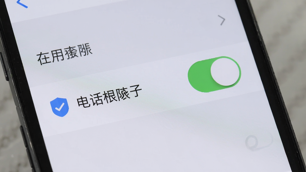 手机屏幕显示应用权限设置页面,列表中存储与电话权限开关清晰可见,旁边有盾牌图标表示安全提示,背景为浅灰色,风格简洁明快,画质干净,无多余元素