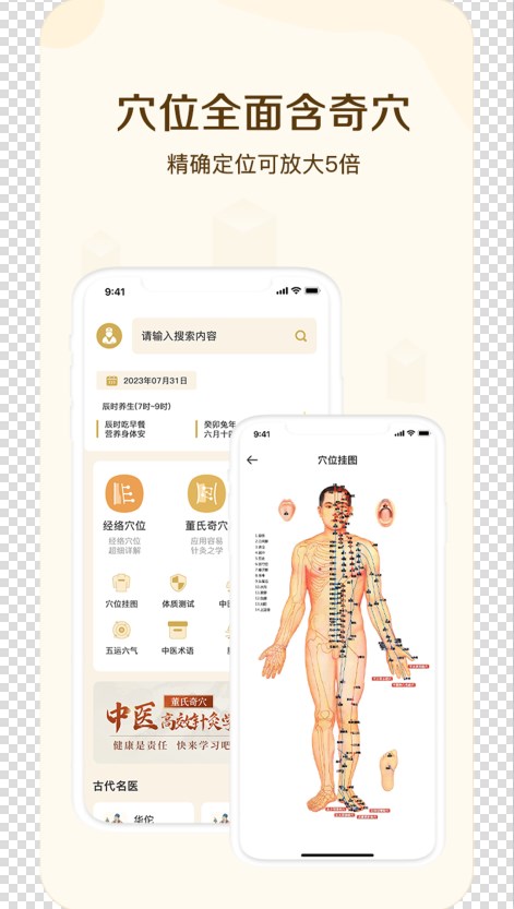 中华经络穴位app安卓版经络图谱界面