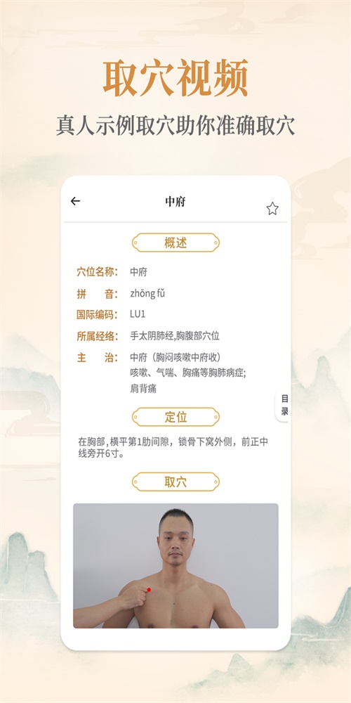 中华经络穴位安卓版穴位检索界面