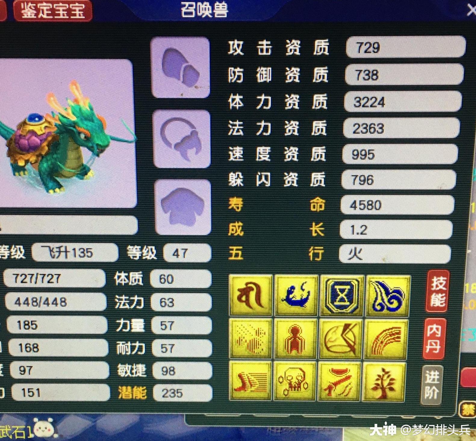 超变龙龟最强玩法解析与培养攻略 技能加点实战站位配图