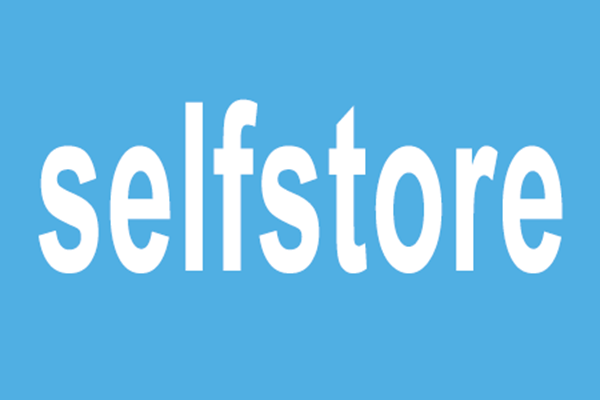 SelfStore 安卓版 应用商店界面