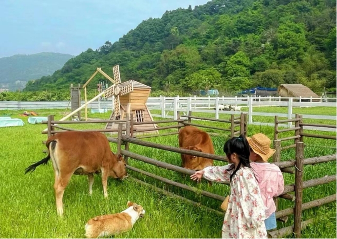 Ranch(牧场历险记)动物互动区与亲子体验项目配图 牧场历险记喂小动物挤牛奶场景