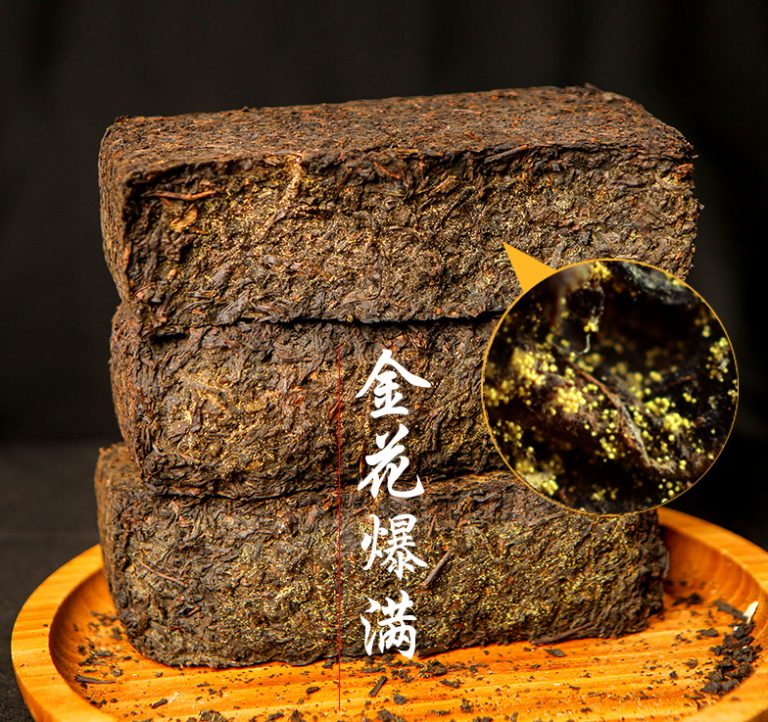神韵安化 安化黑茶茯砖发花工艺与金花细节实拍