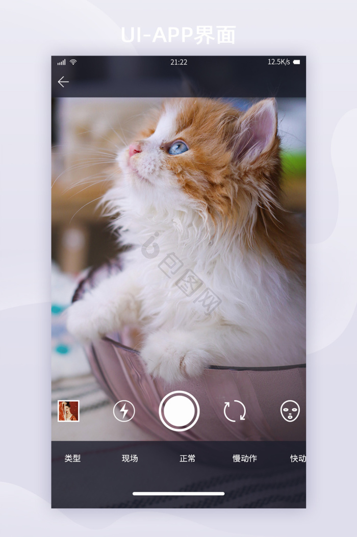 PawView 安卓版 宠物相册界面截图
