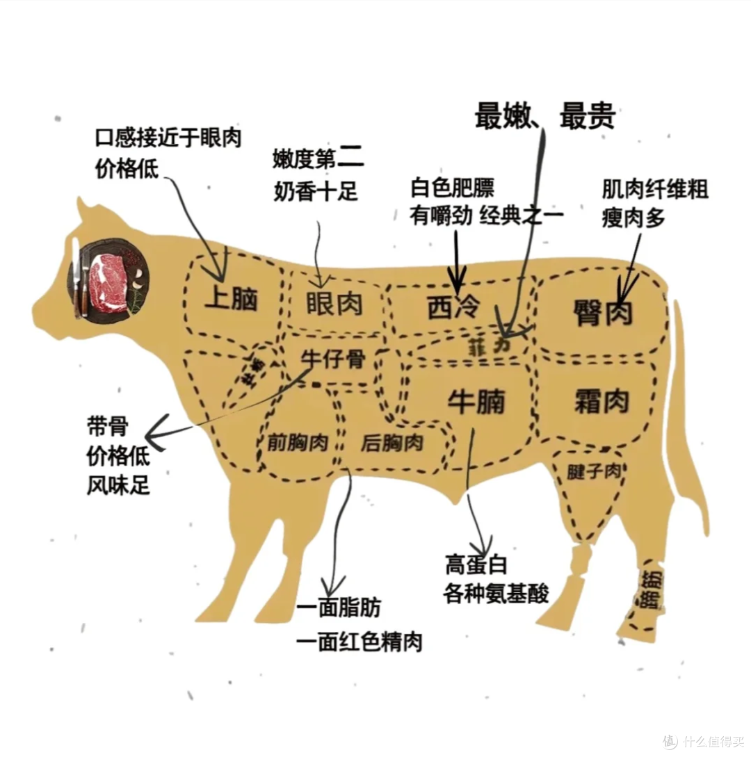 悉牛教你挑选优质牛肉的实用技巧大全