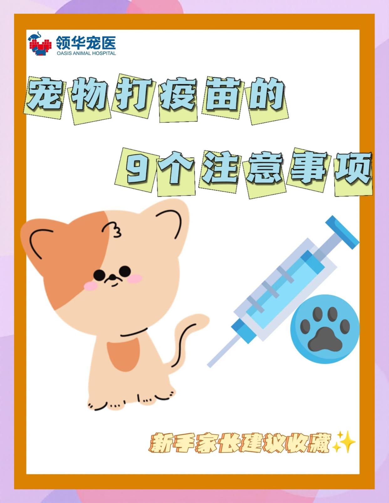 宠问 宠物驱虫疫苗喂养注意事项配图