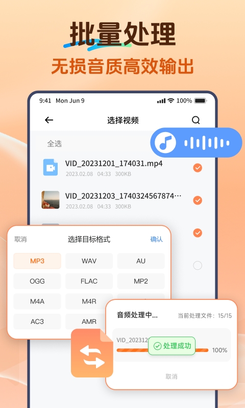 Viwoo��Ƶ��ʽת����2.2.4 ��Ƶ��ʽת������