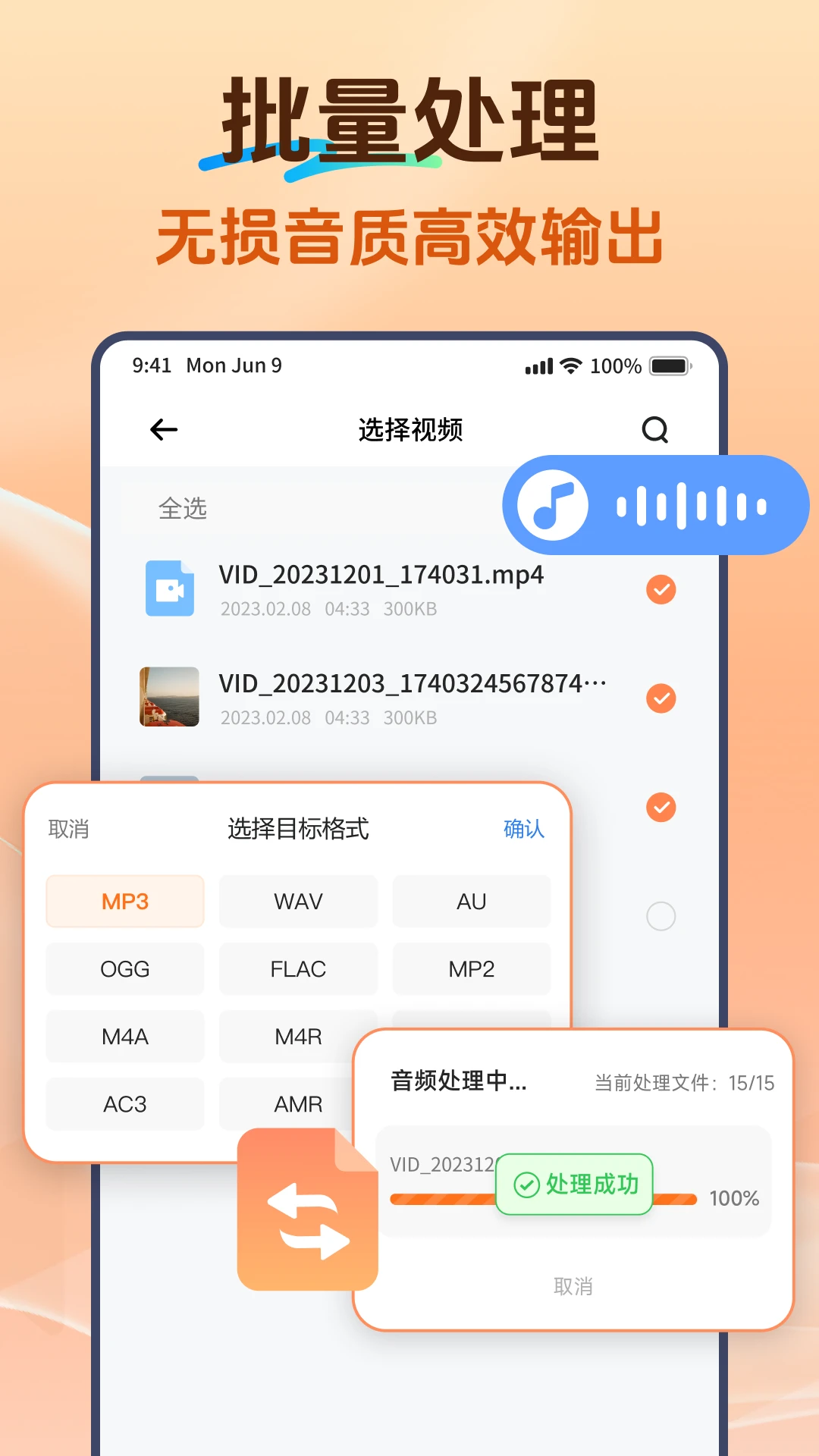 Viwoo��Ƶ��ʽת����2.2.4 ��Ƶ��ʽת������