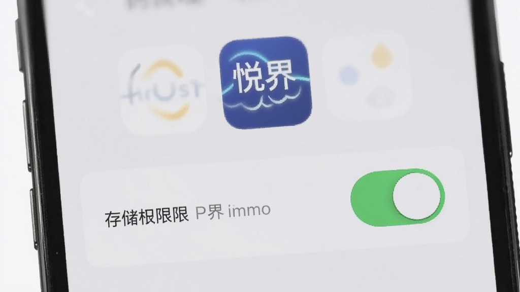 主体为手机屏幕显示应用权限管理界面,界面中有“悦界”图标与存储权限开关;布局居中,背景为浅灰白,风格扁平;细节上开关带有绿色高亮,画质干净,无多余元素
