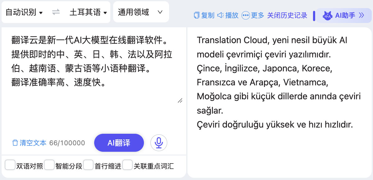 土耳其语翻译服务对比与实用技巧场景图