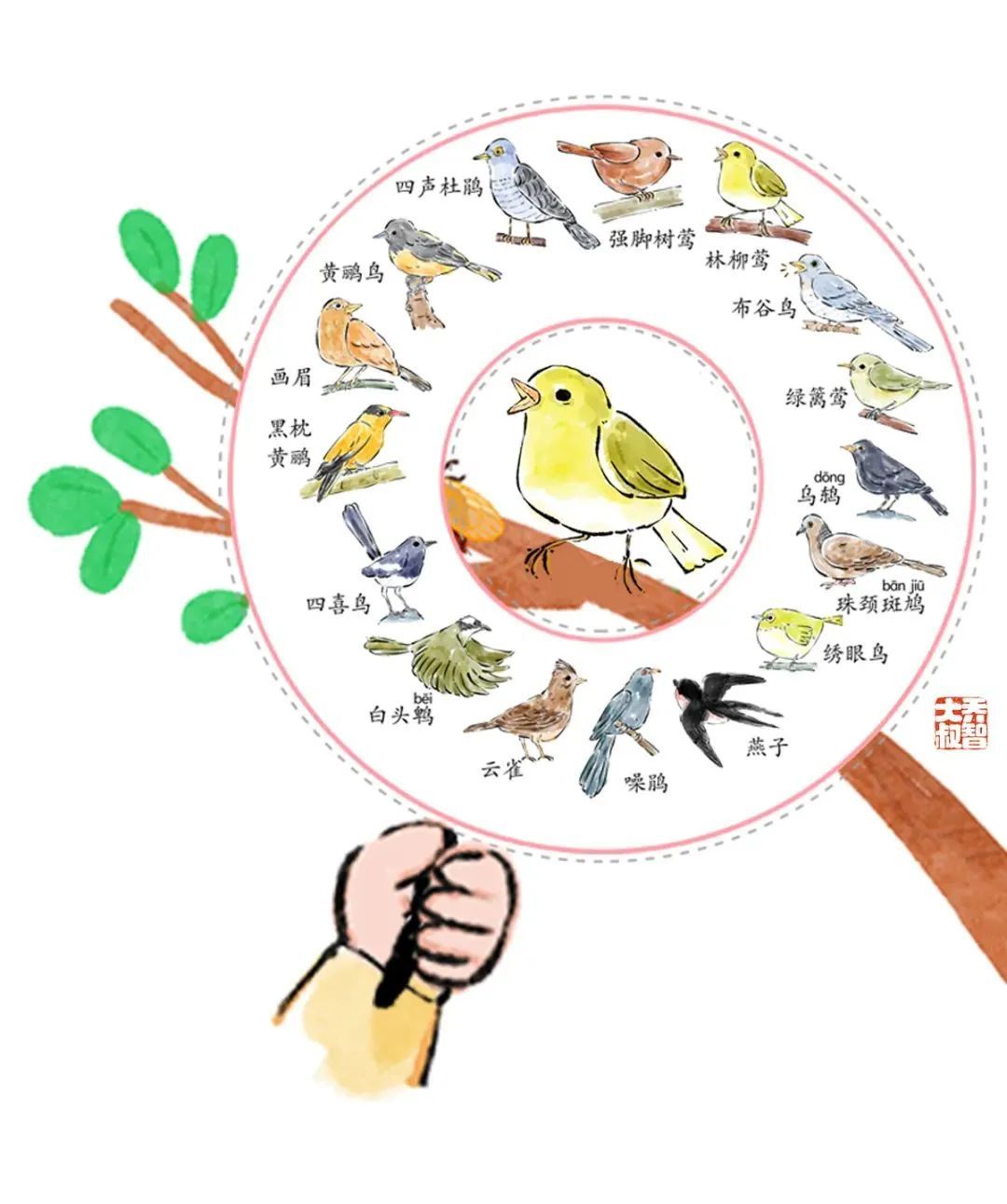 鸣趣 亲子听鸟打卡记录 孩子观察自然笔记