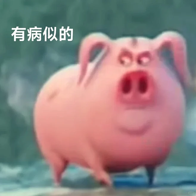 涡轮飞猪 梗 由来 表情包 网友玩法 汇总图