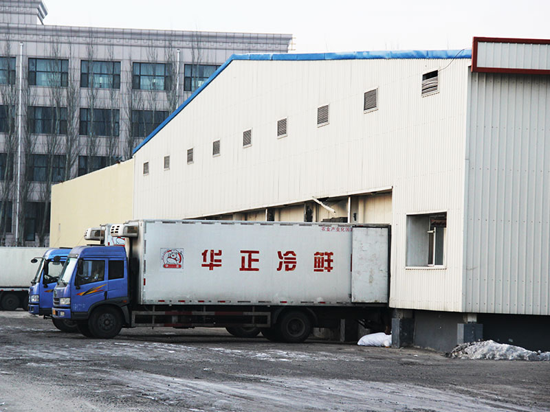 肉联网供应商货源稳定性与冷链配送实拍