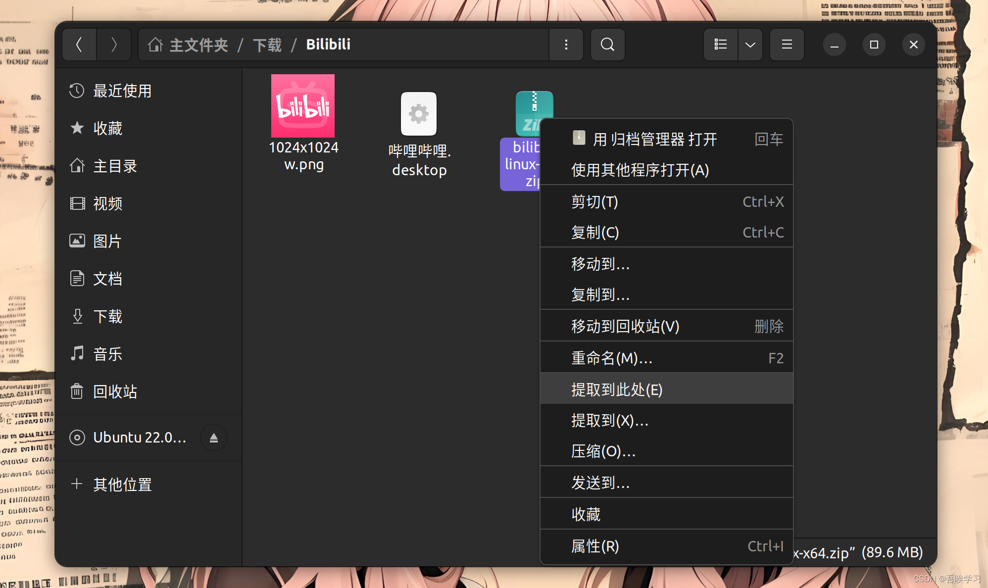 Re:哔哩终端(BiliClient Re) 安装解压与运行环境配置