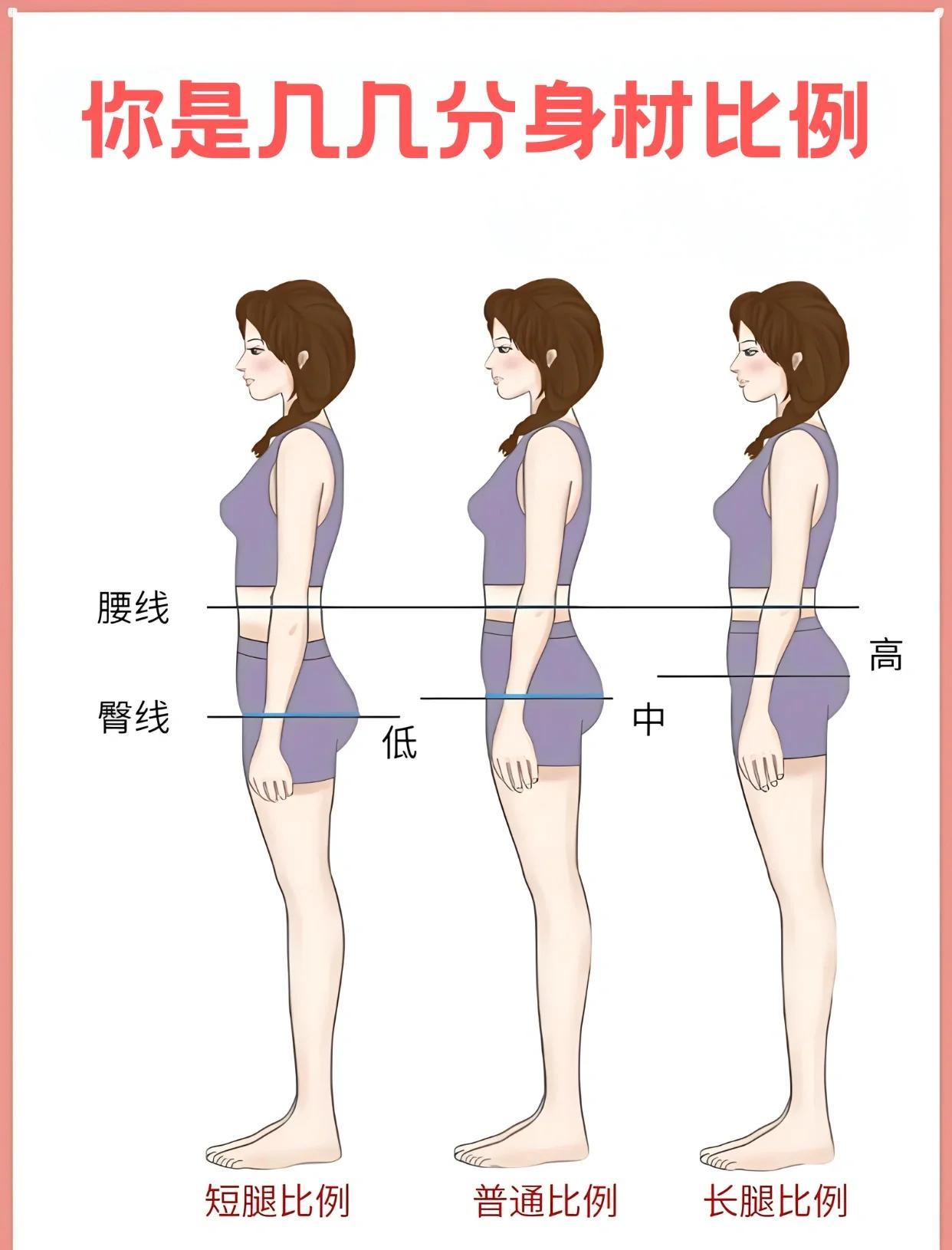 心结测身材比例软件使用步骤和注意事项配图