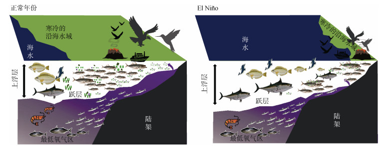 我是鱼 海洋污染 洋流温度变化 鱼类生存环境配图