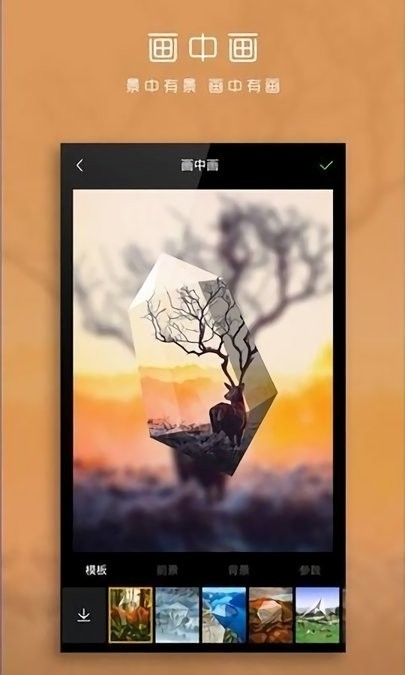 理照安卓版相册整理界面截图
