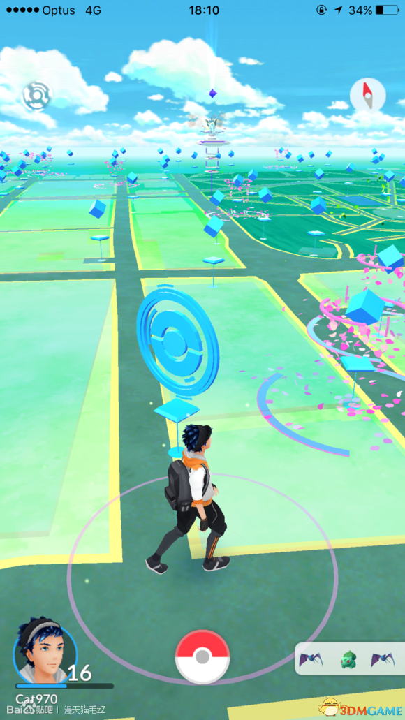 Pokemon GO地图实时刷新稀有精灵点位全攻略 玩家蹲点抓宠场景
