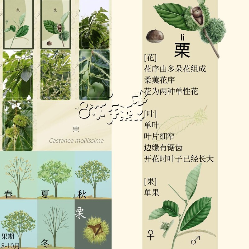 老农种树破解版 游戏内种植画面 实际体验配图