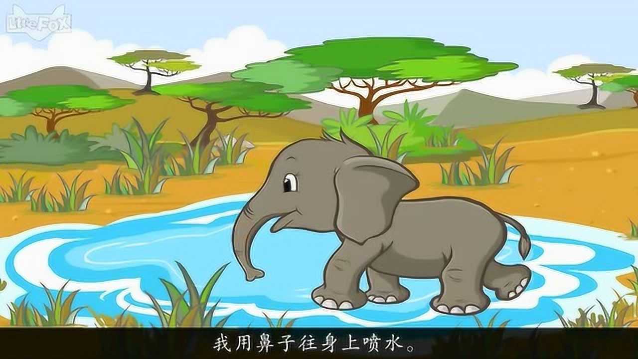 小象班班儿童睡前故事大全在线听合集封面图