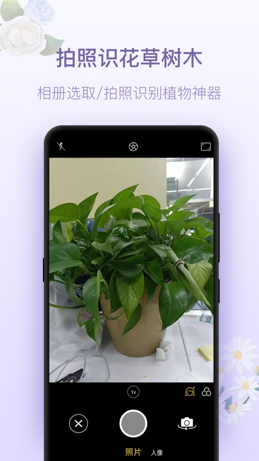 识物王app扫描商品和植物识别结果页面