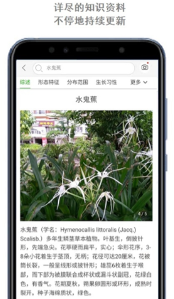 识物王app手机端识别花草动物使用场景