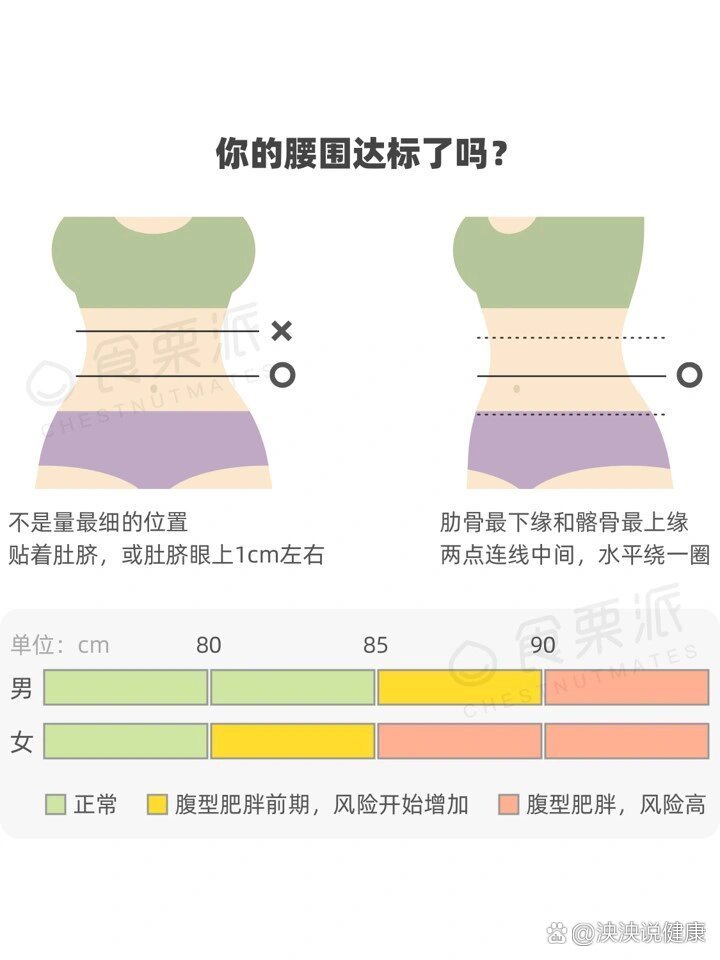 MotivaPeso使用体验 腰围体重变化对比与日常服用场景