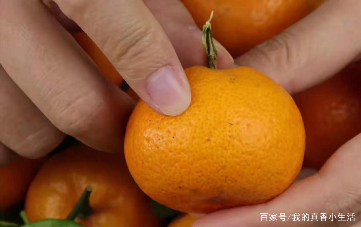 甜橘挑选技巧皮薄多汁手捏对比图