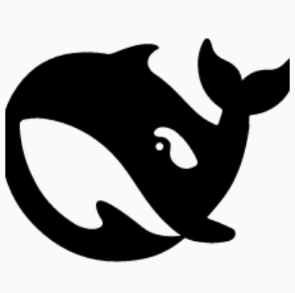 DSH����2.2.60 Э�����¹���