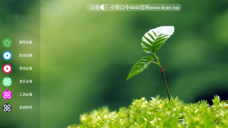 ��è�г�1.0 ����Ӧ���̵�